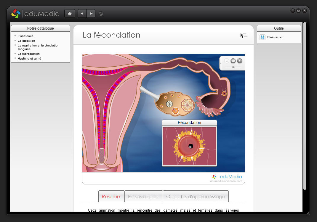 Animations interactives : Le fonctionnement du corps